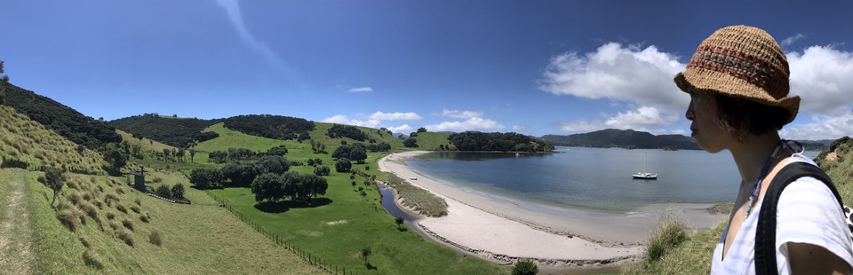 ニュージーランドの自然溢れる風景にはみどりと水色が共存。海の青さが緑に映えています。