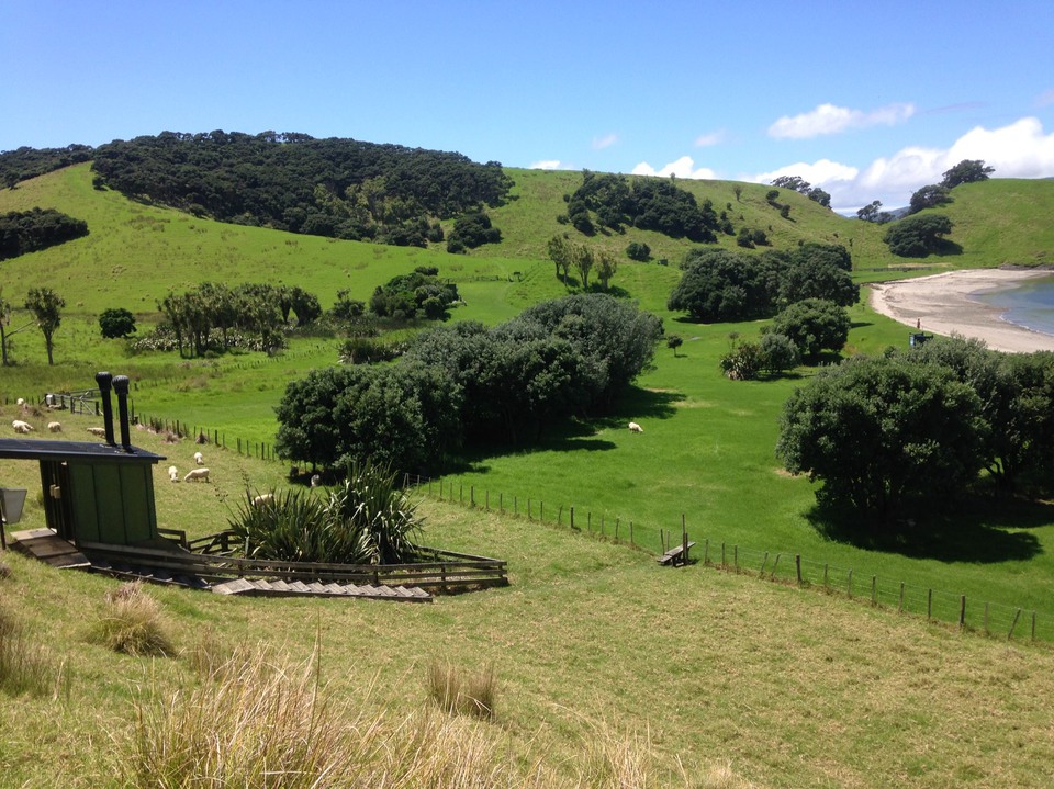 ニュージーランドの大自然が一望できるところに、ケープルヴィルのスタッフのじゅんこさんが滞在中。その風景の写真。