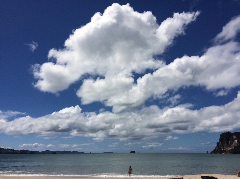 水平線が広くてどこまでも青い海。ニュージーランドって素敵だと思います。