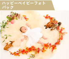 ハッピーベイビー フォトパック