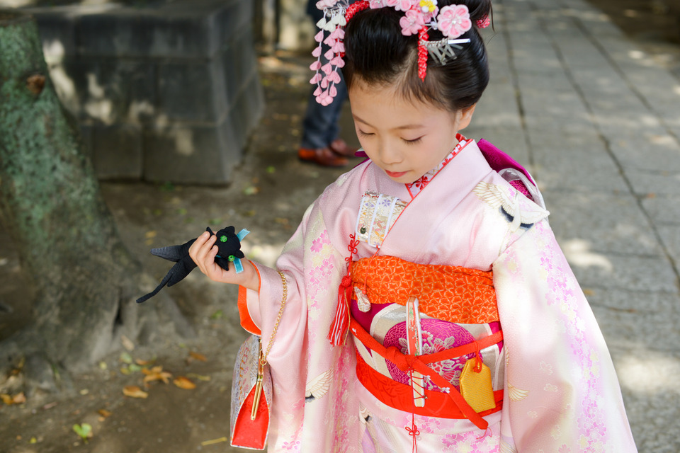 ７歳の七五三撮影を出張撮影で諏訪神社に。台東区の撮影ならケープルヴィルがいいですね。